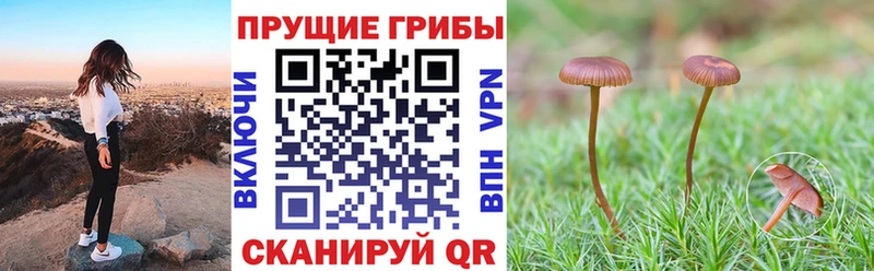 Галлюциногенные грибы мухоморы  цены   Ленинградская 